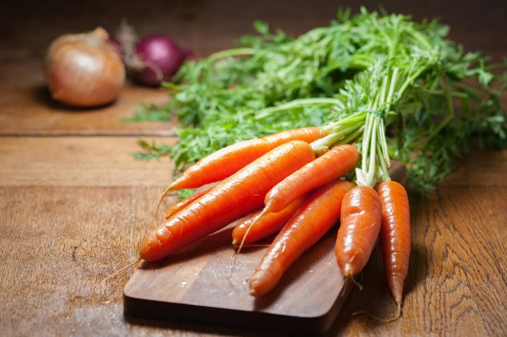 Freshly harvested carrots